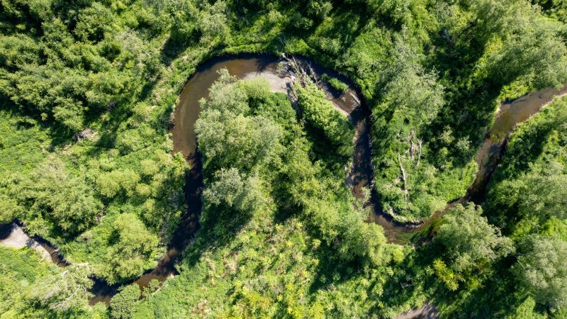 File:Lake Wood 169 June 4 2022 ©CMP-0007.jpg