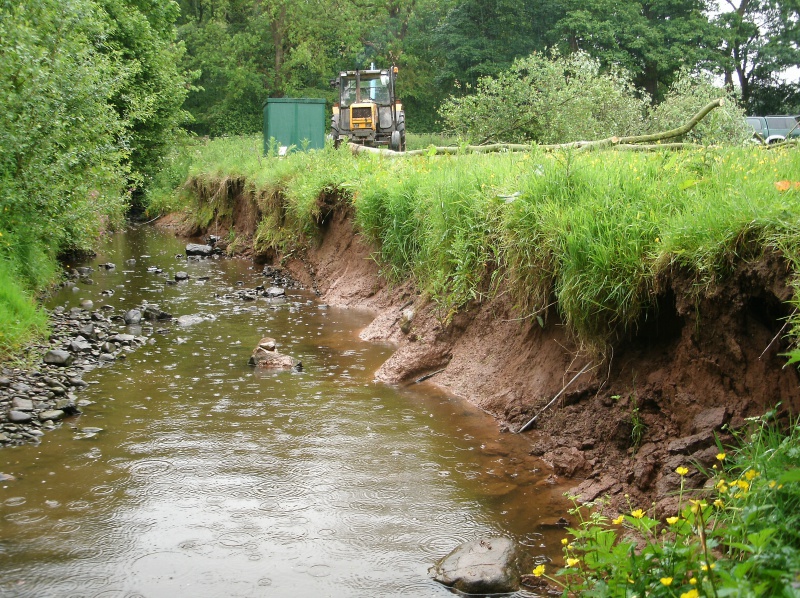 File:River Bank Before Work - June.JPG