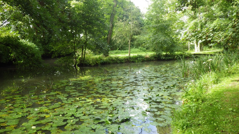 File:River before hatches opened.JPG