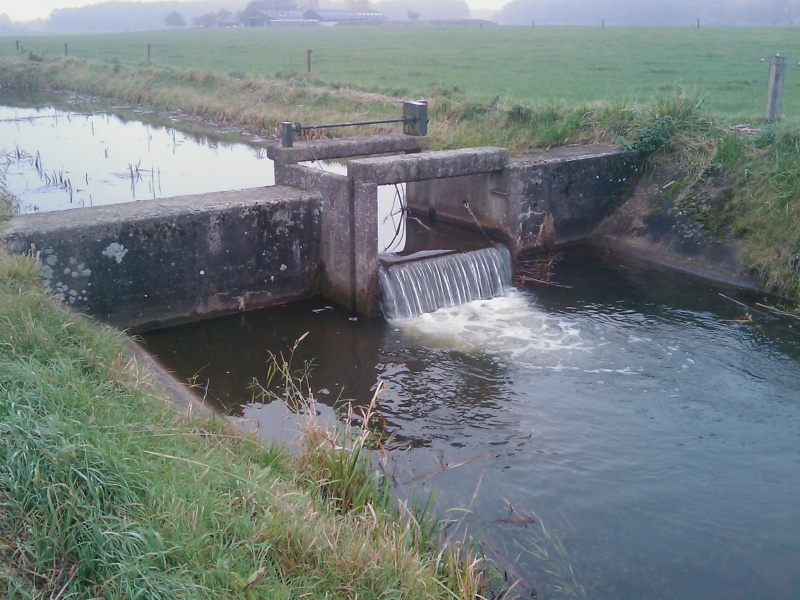 File:Berkel oude eefsebeek reng 1.jpg
