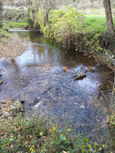 File:Riffle establishing after weir removal.jpg