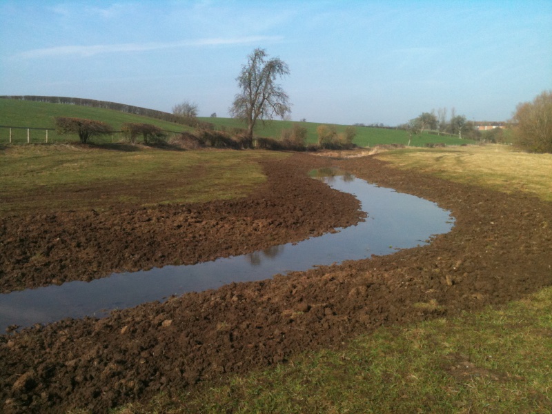 File:Bow Brook Farm Relict Channel.jpg
