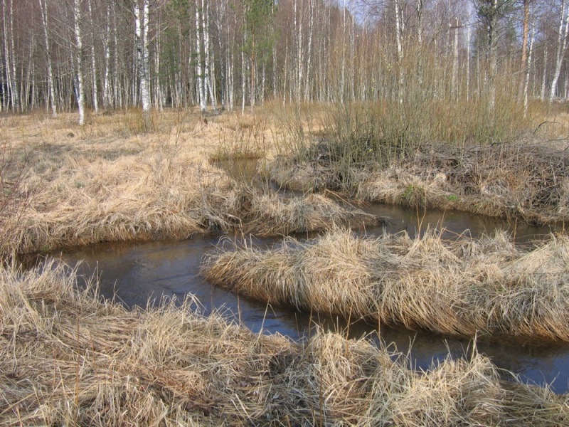 File:Myllypuro brook sinousity after restauration(photo.Liisa Laitinen).jpg