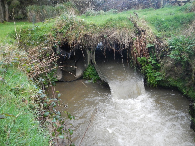 File:Before culvert removal.JPG