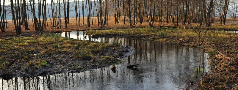File:Restored meanders of Goriski Brezicek stream (Photo NRP archive).png