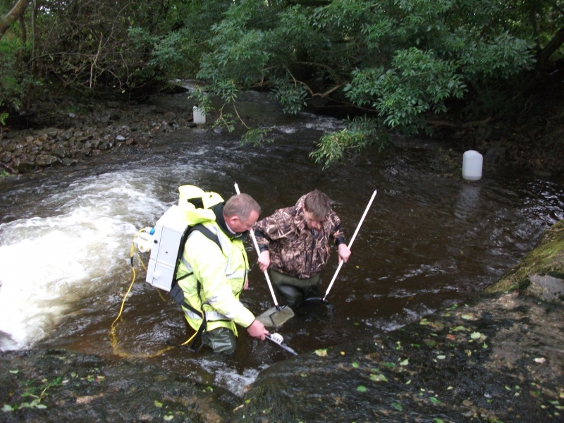 File:Page 3 Myotismart carry out a fish rescue (Barbon).JPG