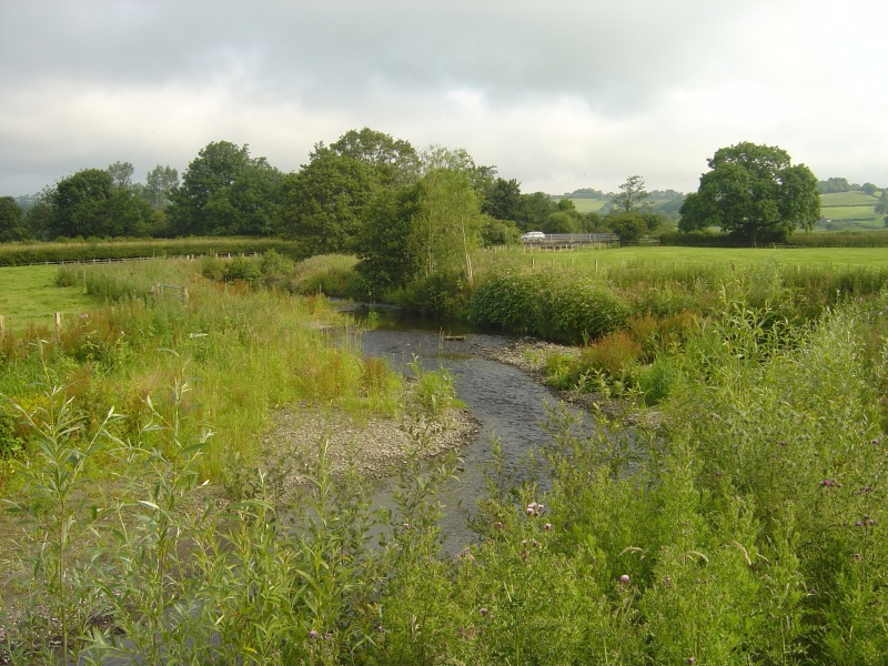 File:Fig 5 - River Dulais one year after completion .JPG