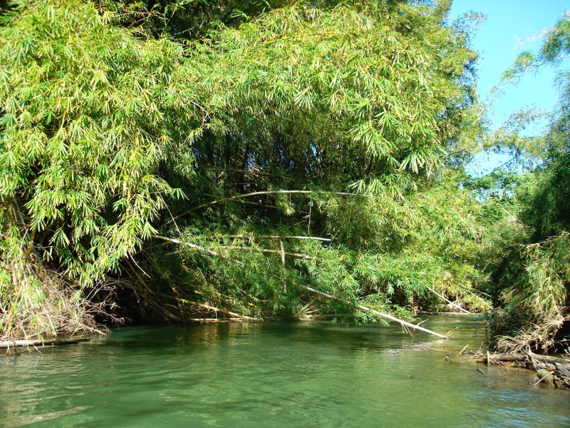 File:2014-02-03 15.33.23.jpg