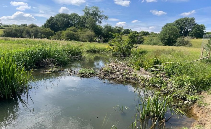 File:Woody material added to channel to improve floodplain connection.jpg