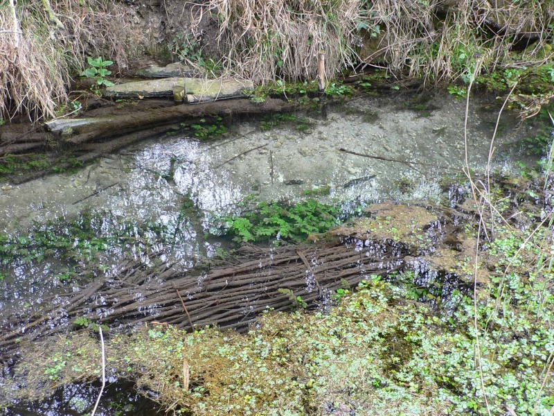 File:Fowlmere narrowing the channel detail.jpg