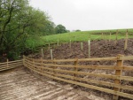 Livestock drinking bay & tree planting.jpg