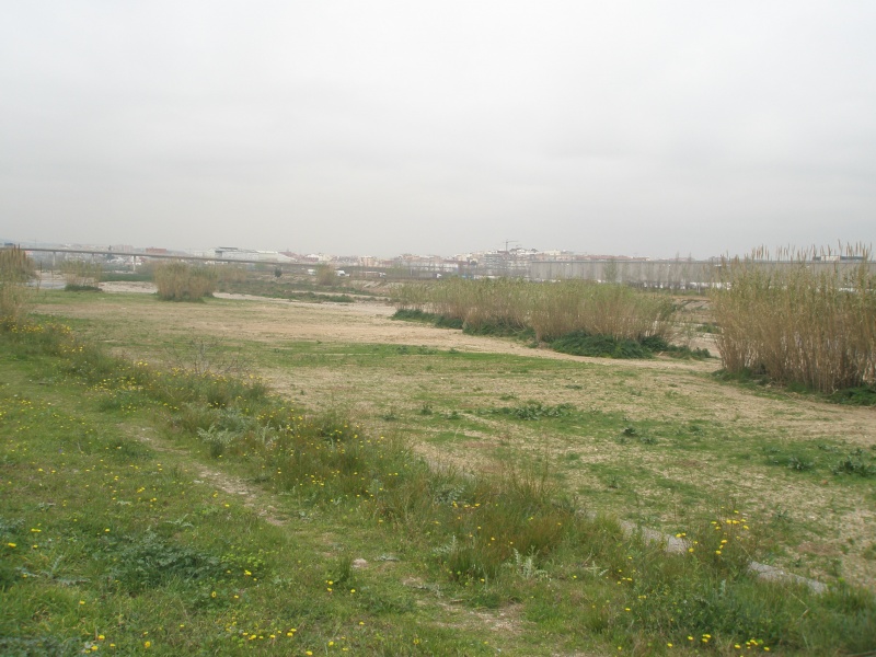 File:050 Rio Ripoll PIRORIENTAL 005 II.JPG