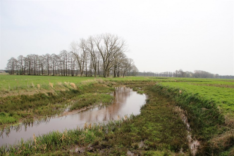 File:Astense aa punt stuw vlierdense weg 1 jr na inrichting april.jpg