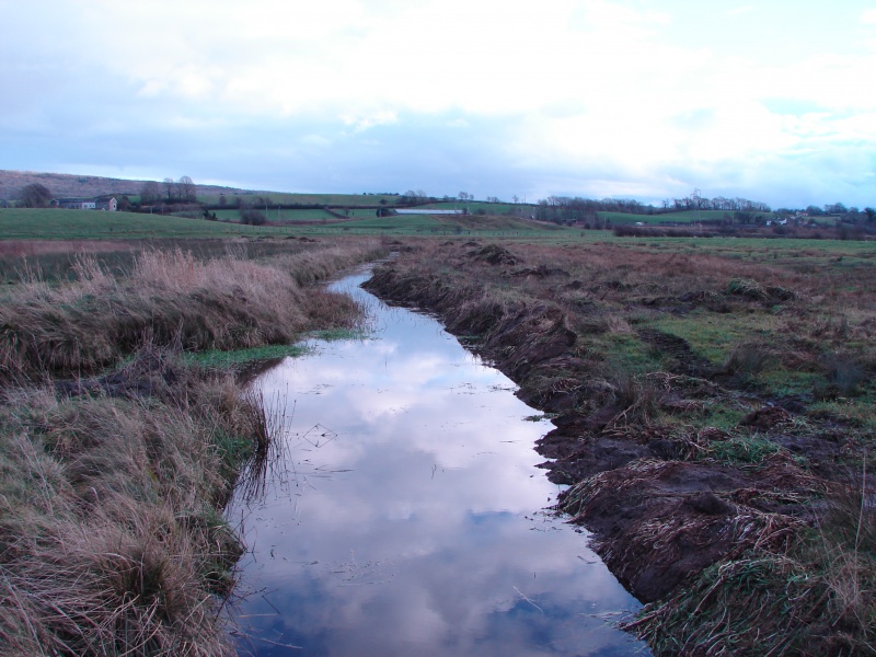 File:Ditch restoration. Hale Moss.JPG