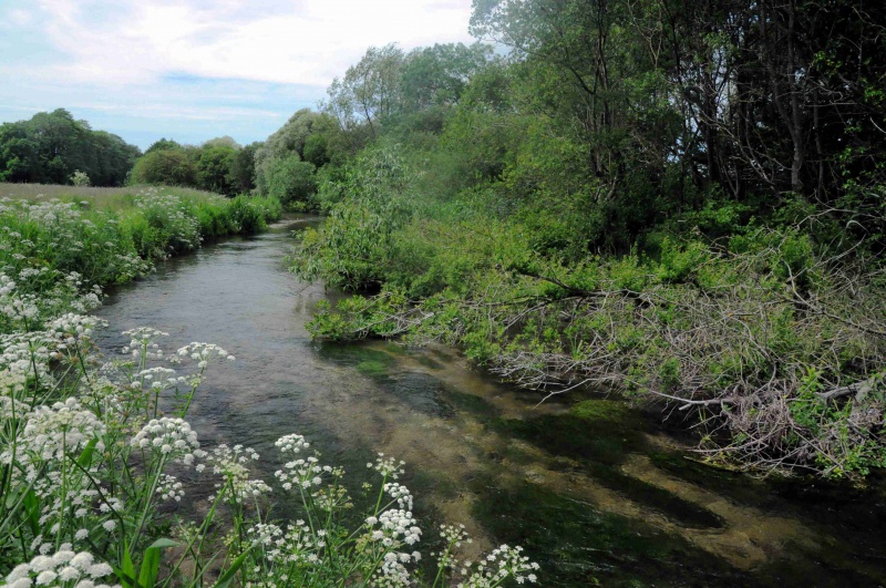 File:Old Station Beat.jpg