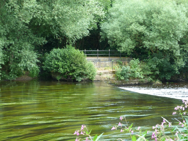 File:Fish pass site at Burley Mills Weir (3).JPG