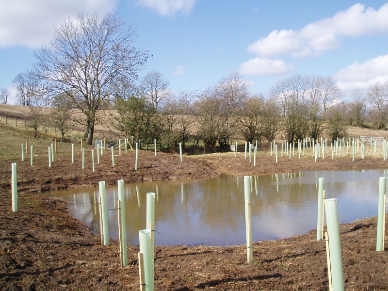 File:Crake Trees monitoring1 21Mar13.JPG