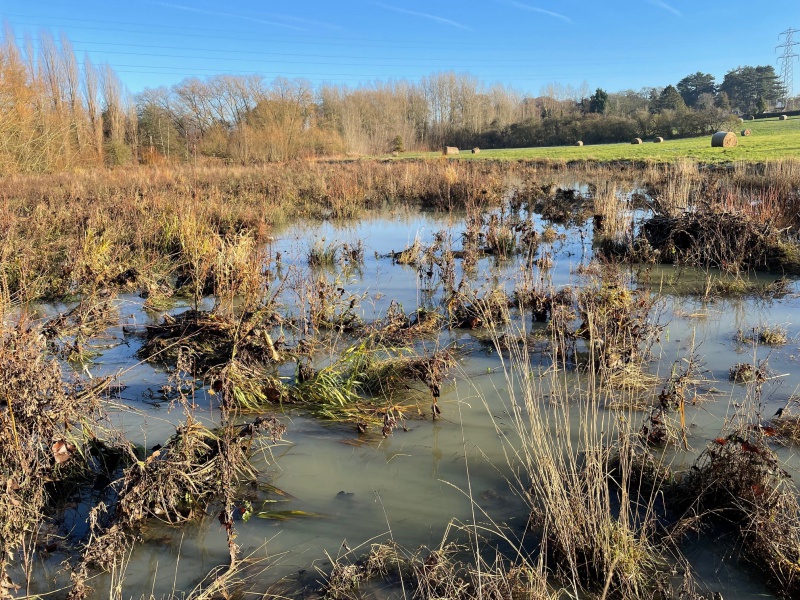 File:Manthorpe wetted floodplain in winter 23.jpg