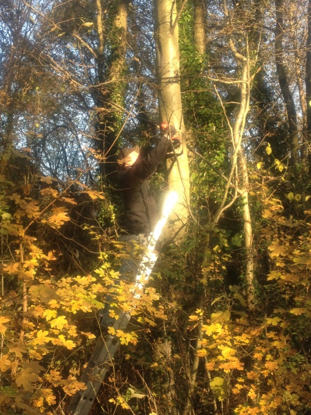 File:Key volunteer instaling bug box.JPG