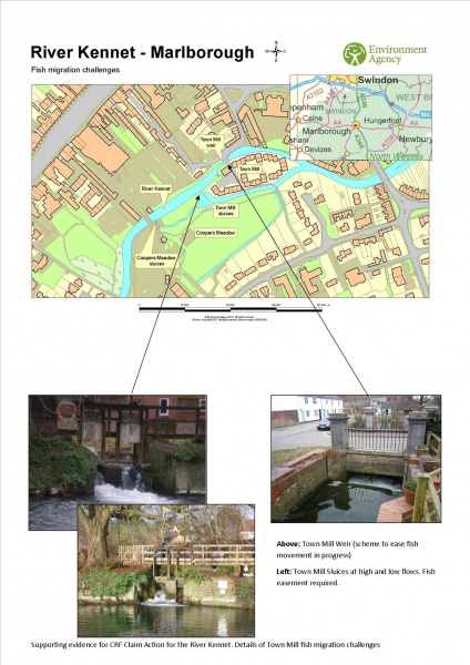 File:Town Mill fish migration phase two.jpg