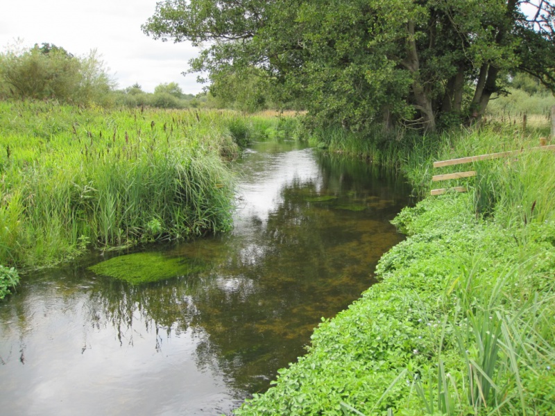File:Wensum Ryburgh Common meander loop.jpg