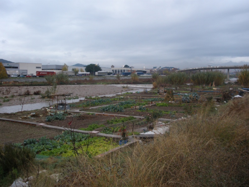 File:050 Rio Ripoll PIRORIENTAL 005 IV.JPG