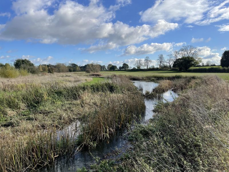 File:2022-11-04 MME.jpg