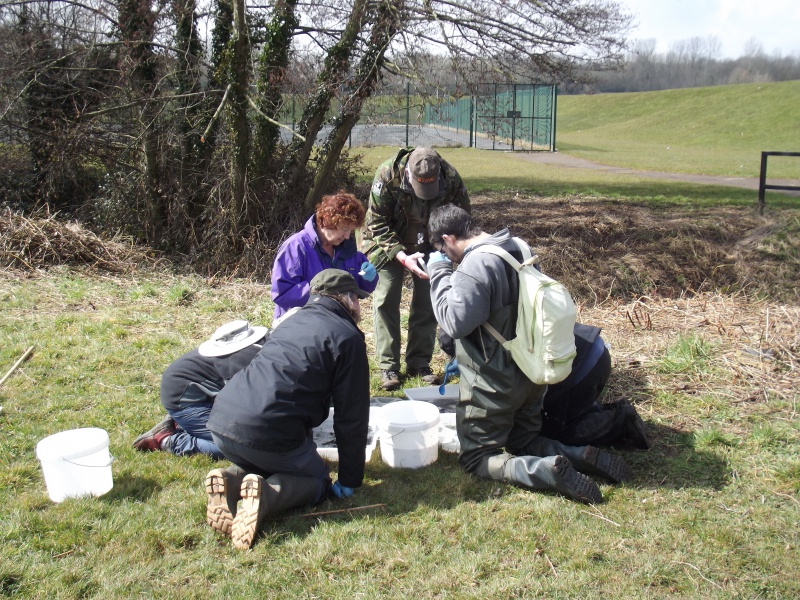 File:Volunteers undertaking invertibrate monitoring (2).JPG