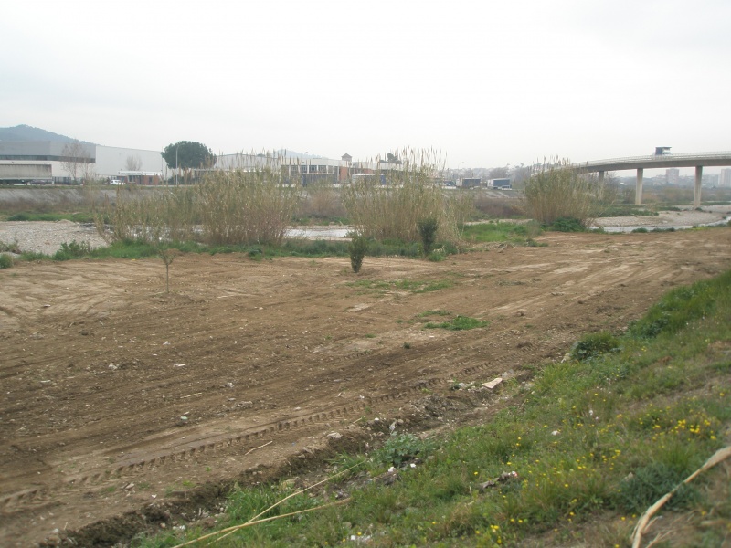 File:050 Rio Ripoll PIRORIENTAL 005 I.JPG