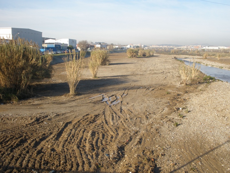 File:050 Rio Ripoll PIRORIENTAL 005.JPG